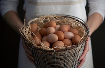 Alternatives for Eggs as Prices Rob Profits