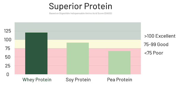Compare Whey, Soy & Pea Protein DIAAS