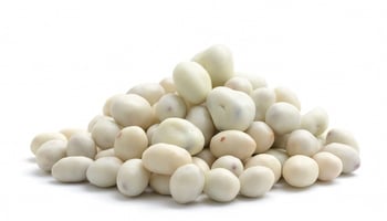 Yogurt-Covered-Peanuts.jpg