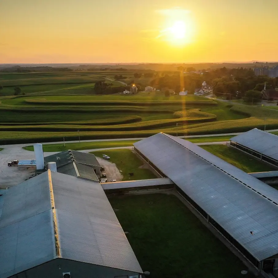 dairy-farm